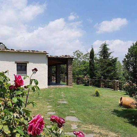 Cortijo Jimenez - Casa Rural Pitres Exterior foto