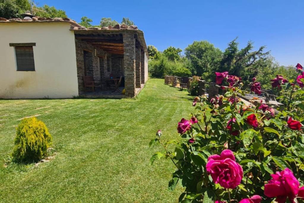 Cortijo Jimenez - Casa Rural Pitres Exterior foto